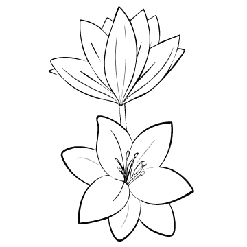 Nichole - Grief and Trauma Specialist